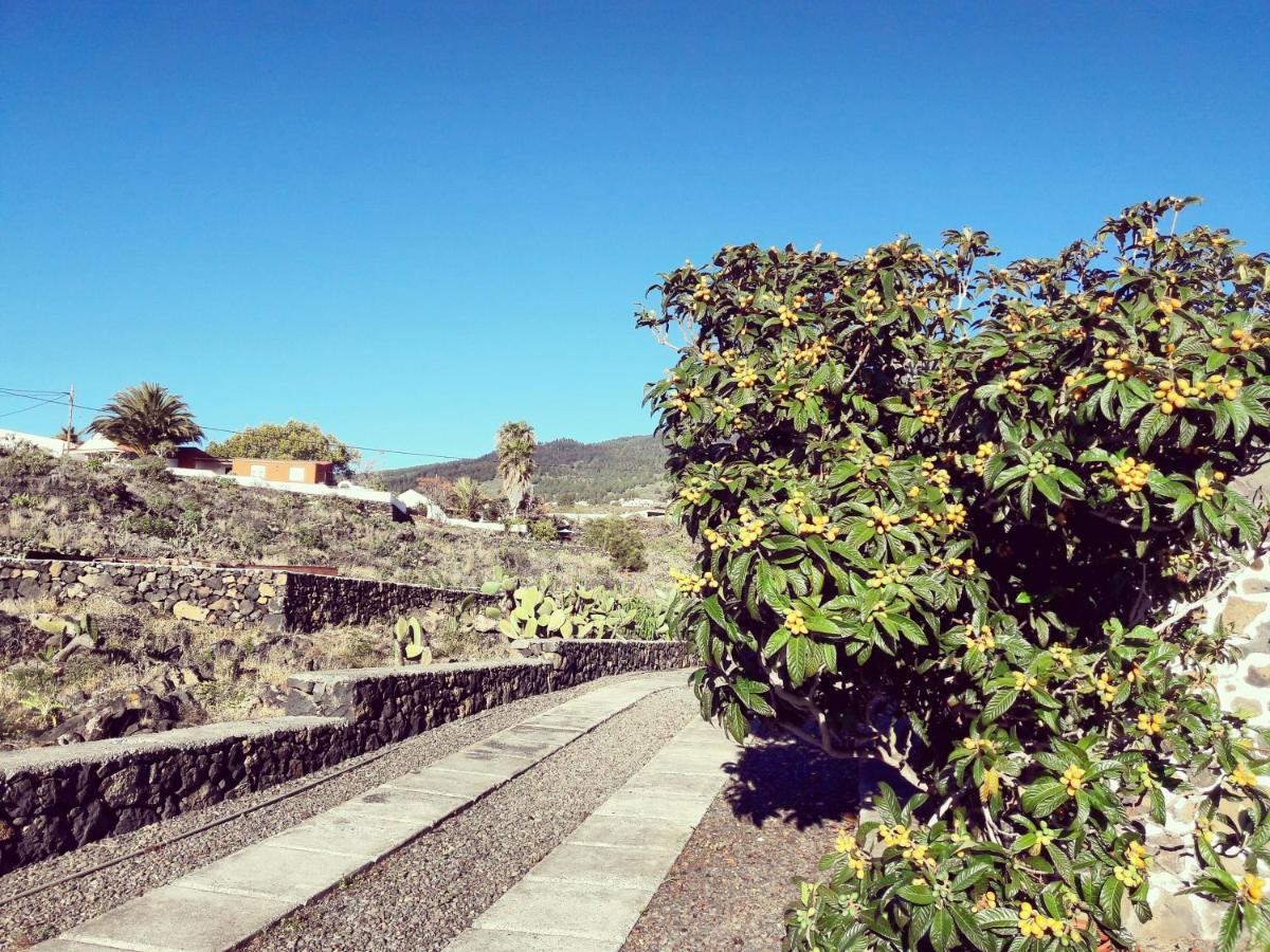 Sea And Mountain View Apartment Los Llanos De Aridane Luaran gambar